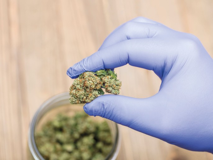 acheter du cannabis