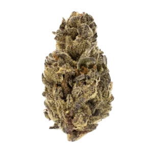Gelato