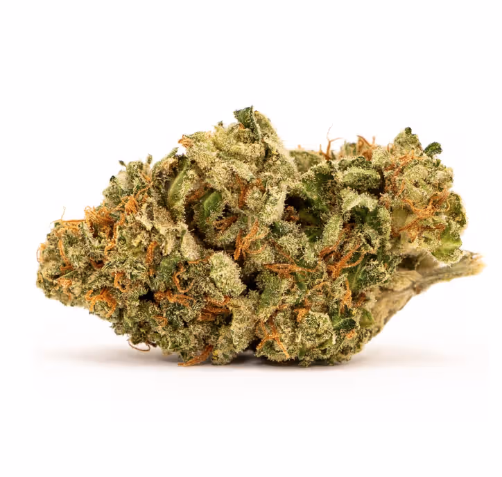 White Widow
